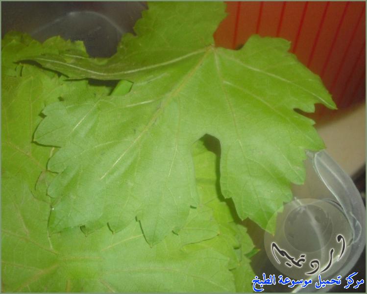 http://www.encyclopediacooking.com/upload_recipes_online/uploads/images_%D8%B7%D8%B1%D9%8A%D9%82%D8%A9-%D8%B9%D9%85%D9%84-%D9%83%D8%A8%D9%8A%D8%A8%D8%A9-%D8%AD%D8%A7%D8%A6%D9%84-%D9%85%D9%86-%D9%85%D8%B7%D8%A8%D8%AE-%D9%88%D8%B1%D8%AF-%D8%AA%D9%85%D9%8A%D9%85-%D8%A8%D8%A7%D9%84%D8%B5%D9%88%D8%B1.jpg