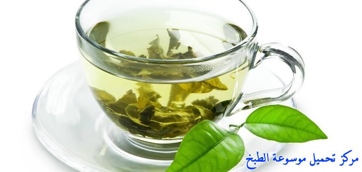 http://www.encyclopediacooking.com/upload_recipes_online/uploads/images_benefits-of-green-tea-%D9%81%D9%88%D8%A7%D8%A6%D8%AF-%D8%A7%D9%84%D8%B4%D8%A7%D9%8A-%D8%A7%D9%84%D8%A7%D8%AE%D8%B6%D8%B12.jpg