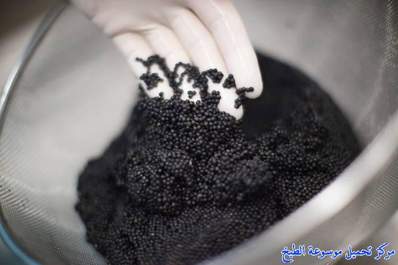 http://www.encyclopediacooking.com/upload_recipes_online/uploads/images_caviar-fish-eggs-%D8%A7%D9%84%D9%83%D8%A7%D9%81%D9%8A%D8%A7%D8%B18.jpg