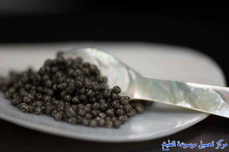 http://www.encyclopediacooking.com/upload_recipes_online/uploads/images_caviar-fish-eggs-%D8%A7%D9%84%D9%83%D8%A7%D9%81%D9%8A%D8%A7%D8%B19.jpg