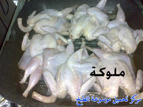 http://www.encyclopediacooking.com/upload_recipes_online/uploads/images_egyptian-recipe-arabic-food-cooking-5-%D8%A7%D9%84%D8%B3%D9%85%D8%A7%D9%86-%D8%A7%D9%84%D9%85%D8%B4%D9%88%D9%89-%D8%A8%D8%A7%D9%84%D8%B4%D9%88%D8%A7%D9%8A%D9%87-%D8%A8%D8%A7%D9%84%D8%B5%D9%88%D8%B1-%D8%A7%D9%83%D9%84%D8%A7%D8%AA-%D9%85%D8%B5%D8%B1%D9%8A%D9%87.jpg