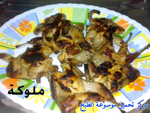 http://www.encyclopediacooking.com/upload_recipes_online/uploads/images_egyptian-recipe-arabic-food-cooking-6-%D8%A7%D9%84%D8%B3%D9%85%D8%A7%D9%86-%D8%A7%D9%84%D9%85%D8%B4%D9%88%D9%89-%D8%A8%D8%A7%D9%84%D8%B4%D9%88%D8%A7%D9%8A%D9%87-%D8%A8%D8%A7%D9%84%D8%B5%D9%88%D8%B1-%D8%A7%D9%83%D9%84%D8%A7%D8%AA-%D9%85%D8%B5%D8%B1%D9%8A%D9%87.jpg