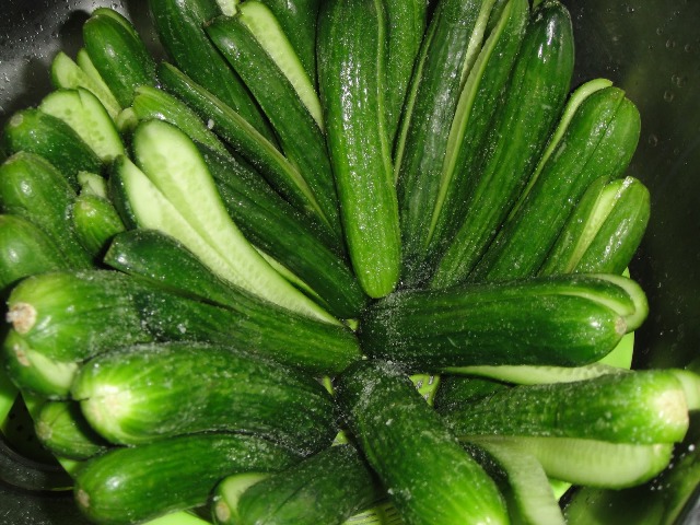 http://www.encyclopediacooking.com/upload_recipes_online/uploads/images_how-to-make-easy-homemade-licucumber-dill-pickles-recipe-step-by-step4.jpg