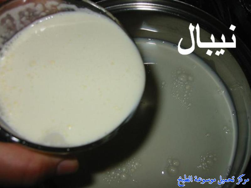 http://www.encyclopediacooking.com/upload_recipes_online/uploads/images_how-to-make-iraqi-qemar-recipe-%D8%A7%D9%84%D9%82%D9%8A%D9%85%D8%B1-%D8%A7%D9%84%D8%B9%D8%B1%D8%A7%D9%82%D9%8A-%D8%A8%D8%A7%D9%84%D8%B5%D9%88%D8%B13.jpg