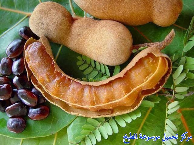 http://www.encyclopediacooking.com/upload_recipes_online/uploads/images_tamarind-juice-%D9%85%D8%B4%D8%B1%D9%88%D8%A8-%D8%A7%D9%84%D8%B9%D8%B1%D8%AF%D9%8A%D8%A8-%D8%A7%D9%84%D8%B3%D9%88%D8%AF%D8%A7%D9%86%D9%8A-%D8%A7%D9%84%D8%AA%D9%85%D8%B1-%D8%A7%D9%84%D9%87%D9%86%D8%AF%D9%8A.jpg