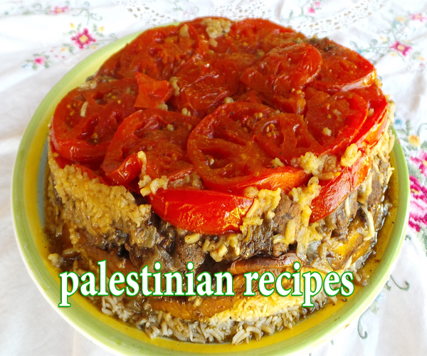   -     palestinian arabian cuisine food recipes
