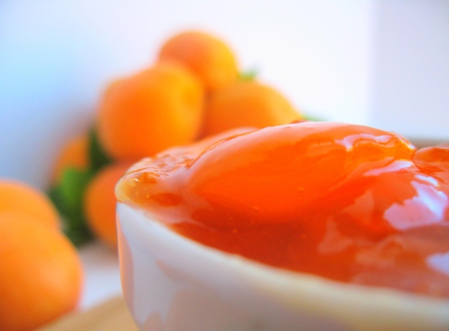 http://www.encyclopediacooking.com/upload_recipes_online/uploads/images_how-to-make-easy-apricot-jam-recipe.jpg