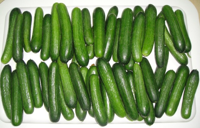 http://www.encyclopediacooking.com/upload_recipes_online/uploads/images_how-to-make-easy-homemade-licucumber-dill-pickles-recipe-step-by-step2.jpg