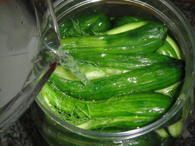 http://www.encyclopediacooking.com/upload_recipes_online/uploads/images_how-to-make-easy-homemade-licucumber-dill-pickles-recipe-step-by-step7.jpg